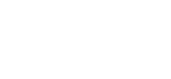Promotora Virzi